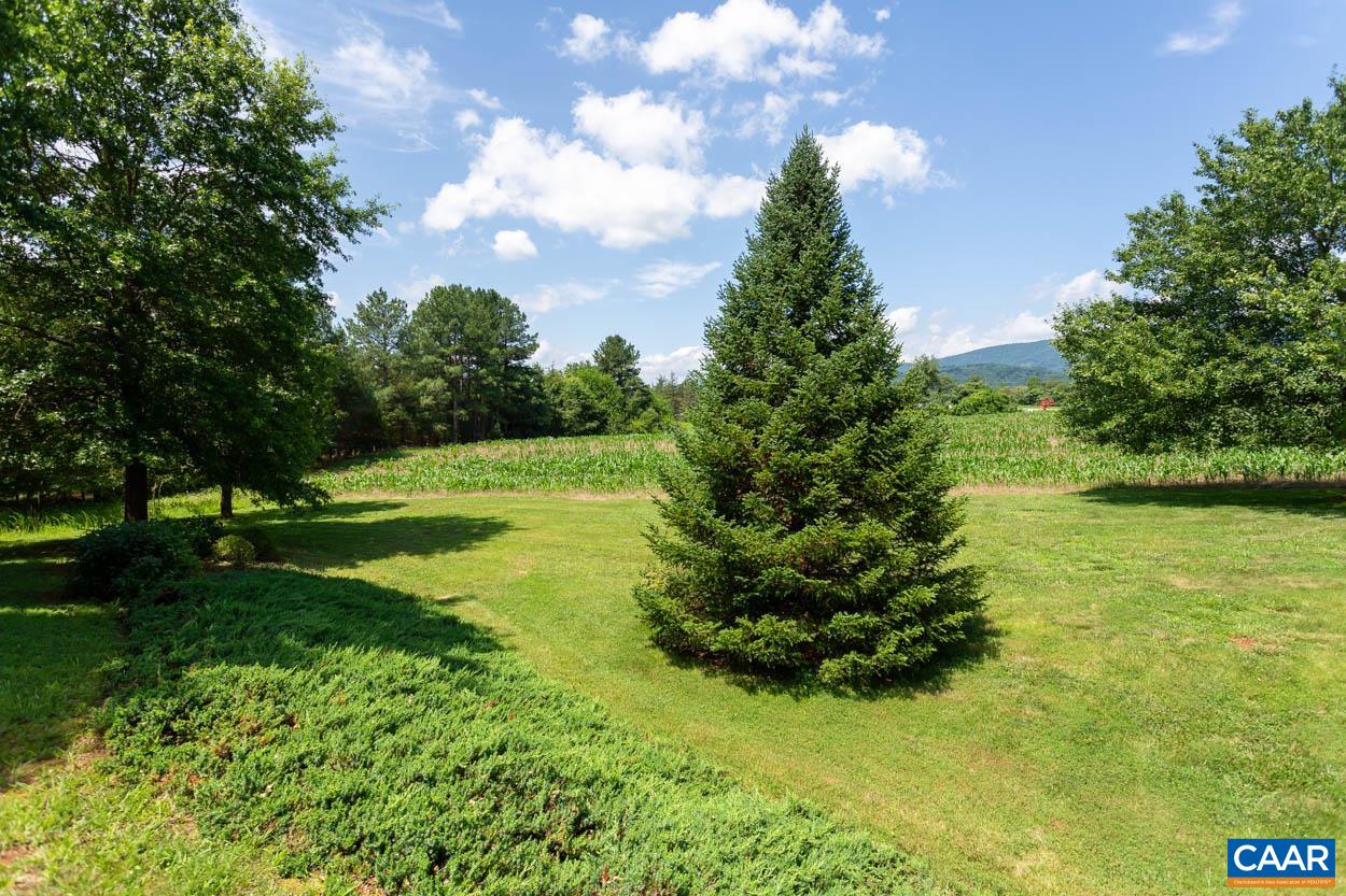 1904 Beaver Ridge Road Crozet, VA 22932 - Photo 51 of 70 a view of a garden with an trees