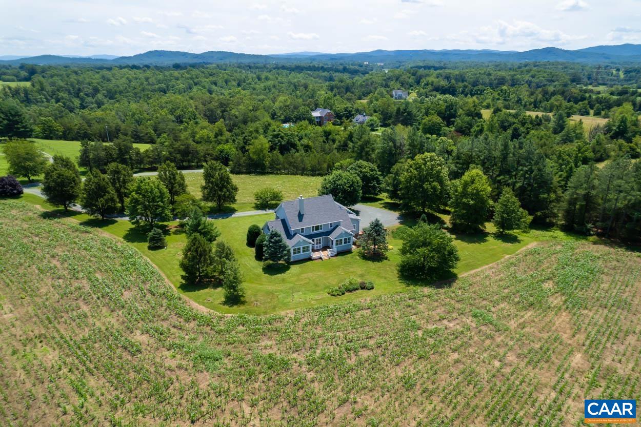 1904 Beaver Ridge Road Crozet, VA 22932 - Photo 65 of 70 a view of a lush green forest with trees and some houses