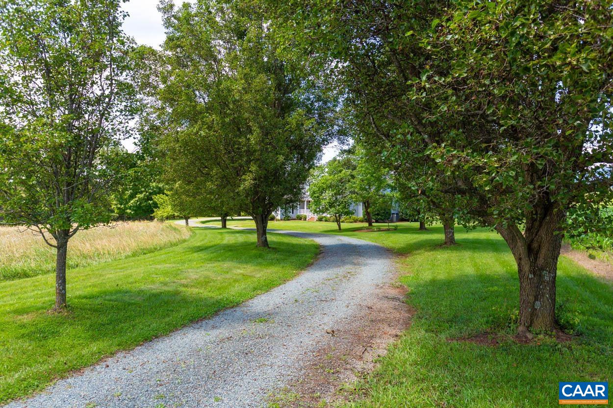 1904 Beaver Ridge Road Crozet, VA 22932 - Photo 69 of 70 a view of a park with large trees
