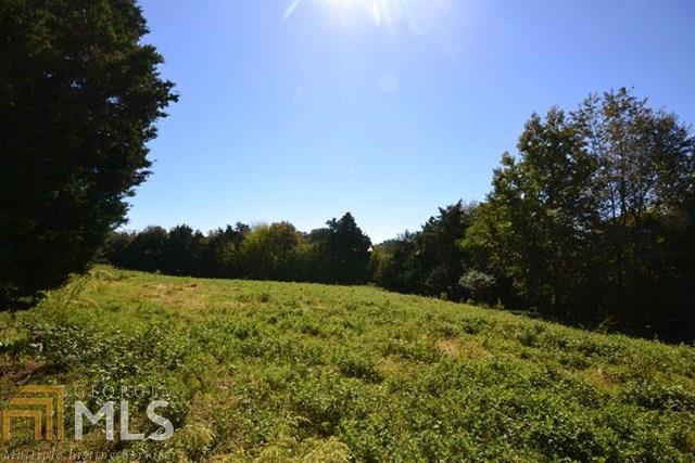 0 Tower Road, Unit TR 1 AND 2 Martin, GA 30557 - Photo 1 of 1