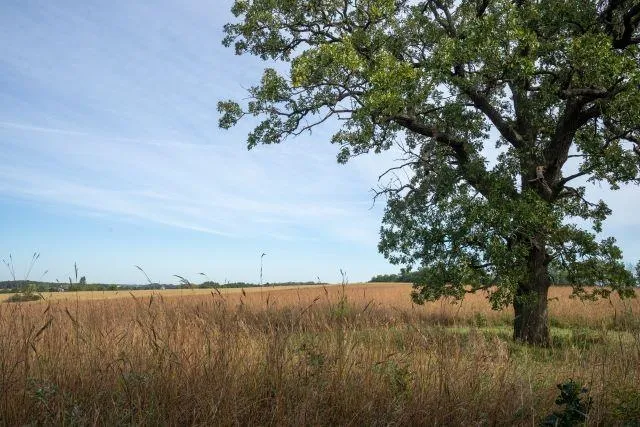 $2,250,000 | 5927 Adams Road, Oregon, WI 53575