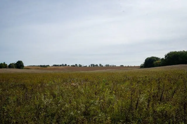 $2,250,000 | 5927 Adams Road, Oregon, WI 53575