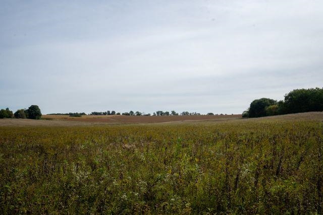 5927 Adams Road Oregon, WI 53575 - Photo 28 of 43