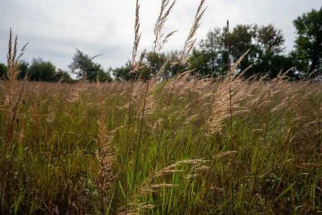 $2,250,000 | 5927 Adams Road, Oregon, WI 53575