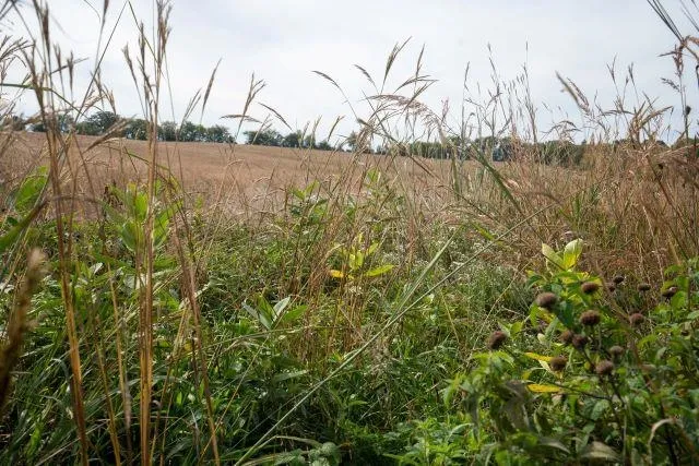 $2,250,000 | 5927 Adams Road, Oregon, WI 53575