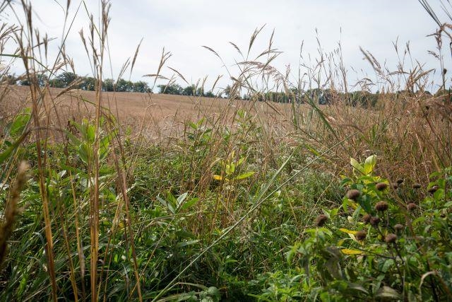 5927 Adams Road Oregon, WI 53575 - Photo 31 of 43