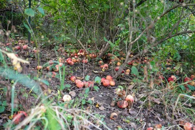 $2,250,000 | 5927 Adams Road, Oregon, WI 53575