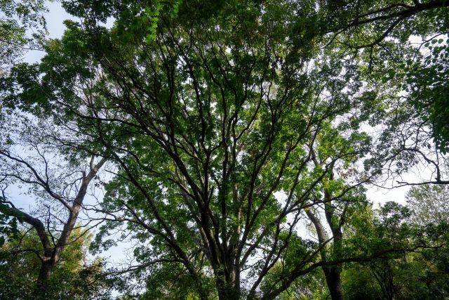 5927 Adams Road Oregon, WI 53575 - Photo 38 of 43