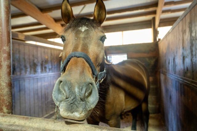 5927 Adams Road Oregon, WI 53575 - Photo 40 of 43
