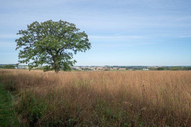 5927 Adams Road Oregon, WI 53575 - Photo 6 of 43