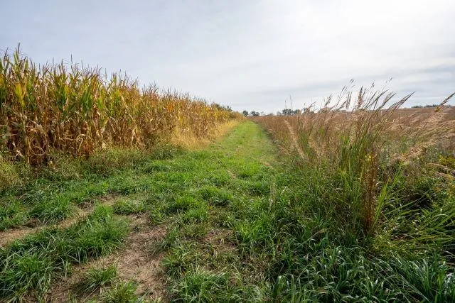 $2,250,000 | 5927 Adams Road, Oregon, WI 53575