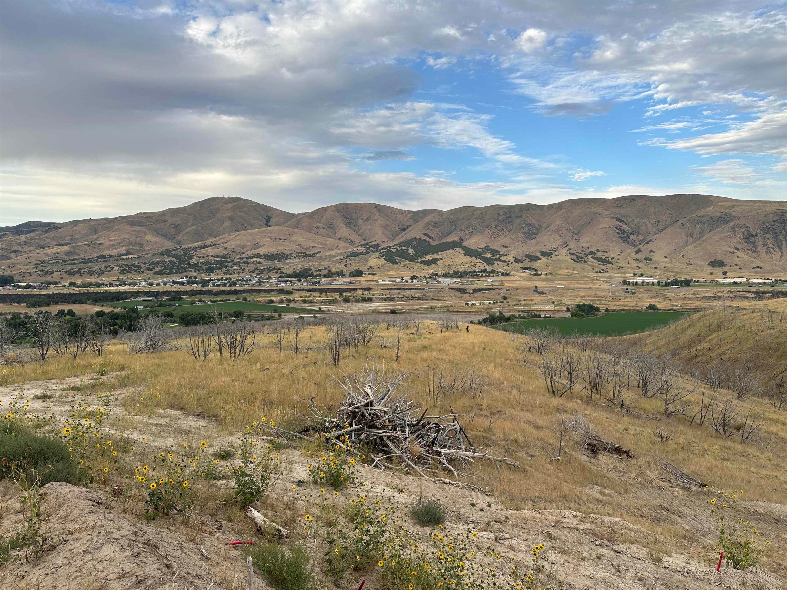 Lot 5 Ridgeview Lane Pocatello, ID 83204 - Photo 3 of 14 Gallery Image 3