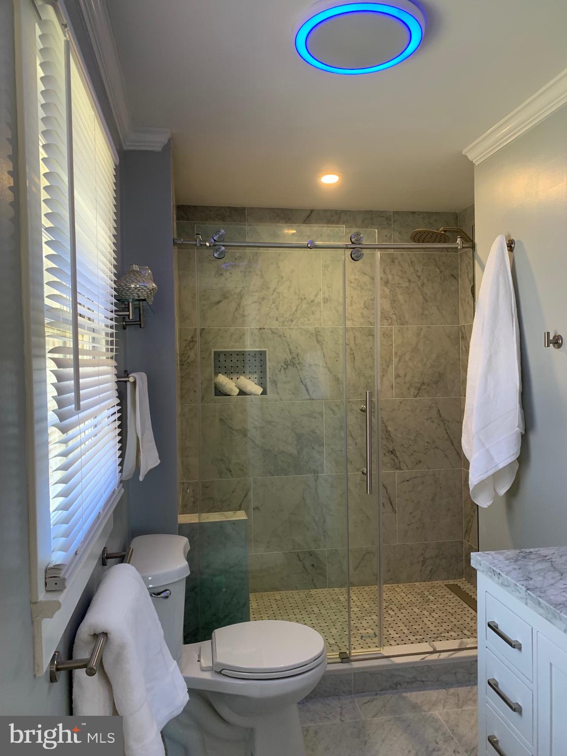 927 Old Annapolis Neck Road Annapolis, MD 21403 - Photo 8 of 12 Primary bedroom bathroom