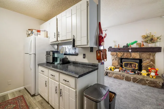 a kitchen with a stove a refrigerator and a fireplace