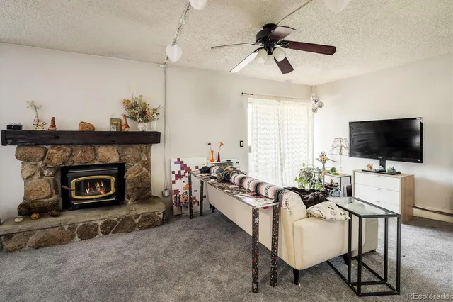 a living room with furniture a flat screen tv and a fireplace