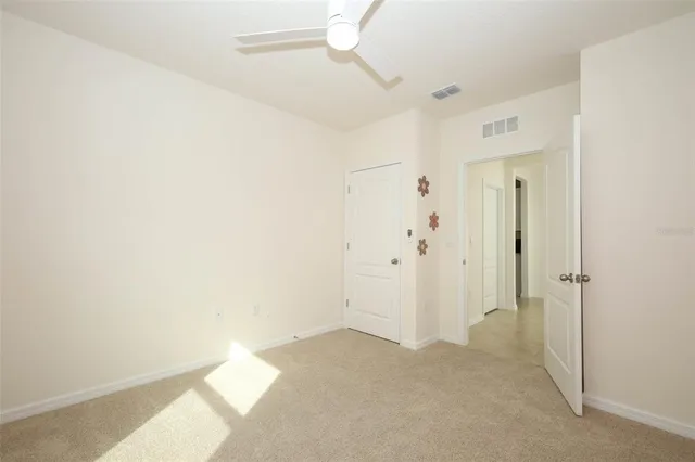 a potted plant sitting in front of a glass door