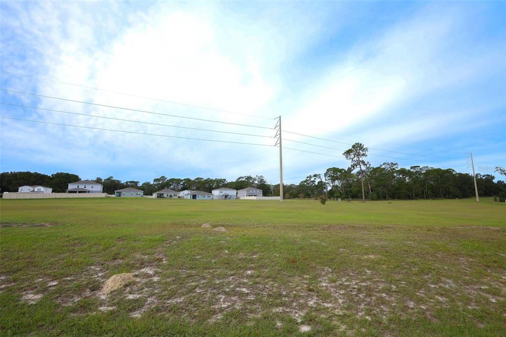 33417 Affirmed Way Sorrento, FL 32776 - Photo 33 of 43 a view of outdoor space and city view