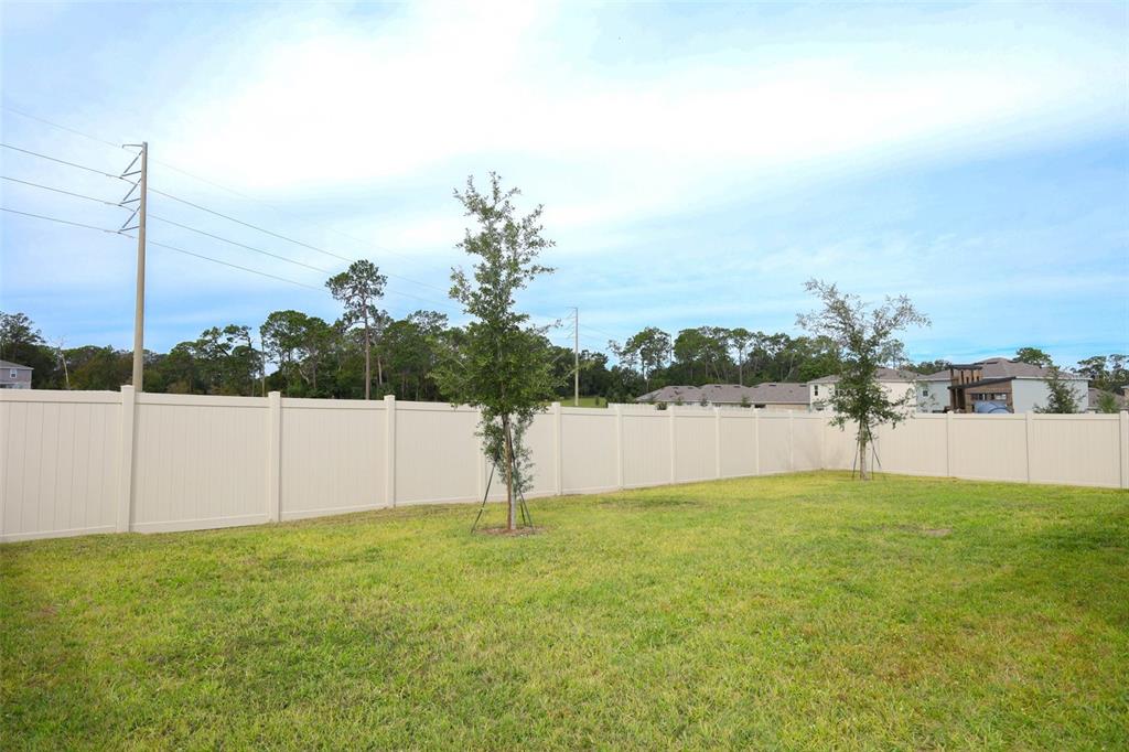 33417 Affirmed Way Sorrento, FL 32776 - Photo 34 of 43 a view of a lake with a big yard