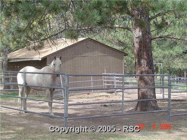 17525 Shahara Road Monument, CO 80132 - Photo 12 of 14