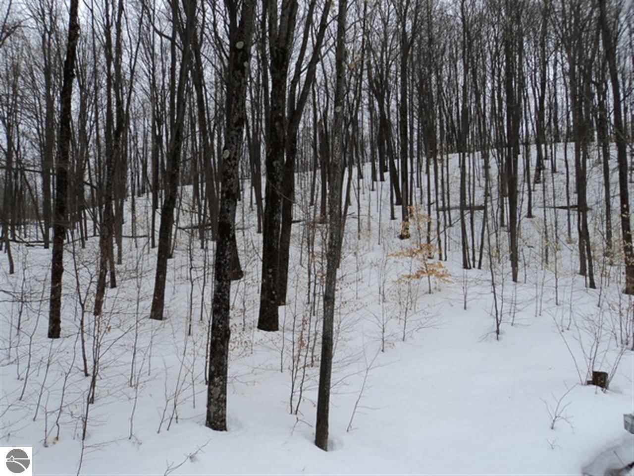 6530 Johnson Road Mancelona, MI 49659 - Photo 39 of 71 1782003-38.JPG