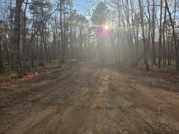 $95,000 | 1st Avenue, Mays Landing, NJ 08330