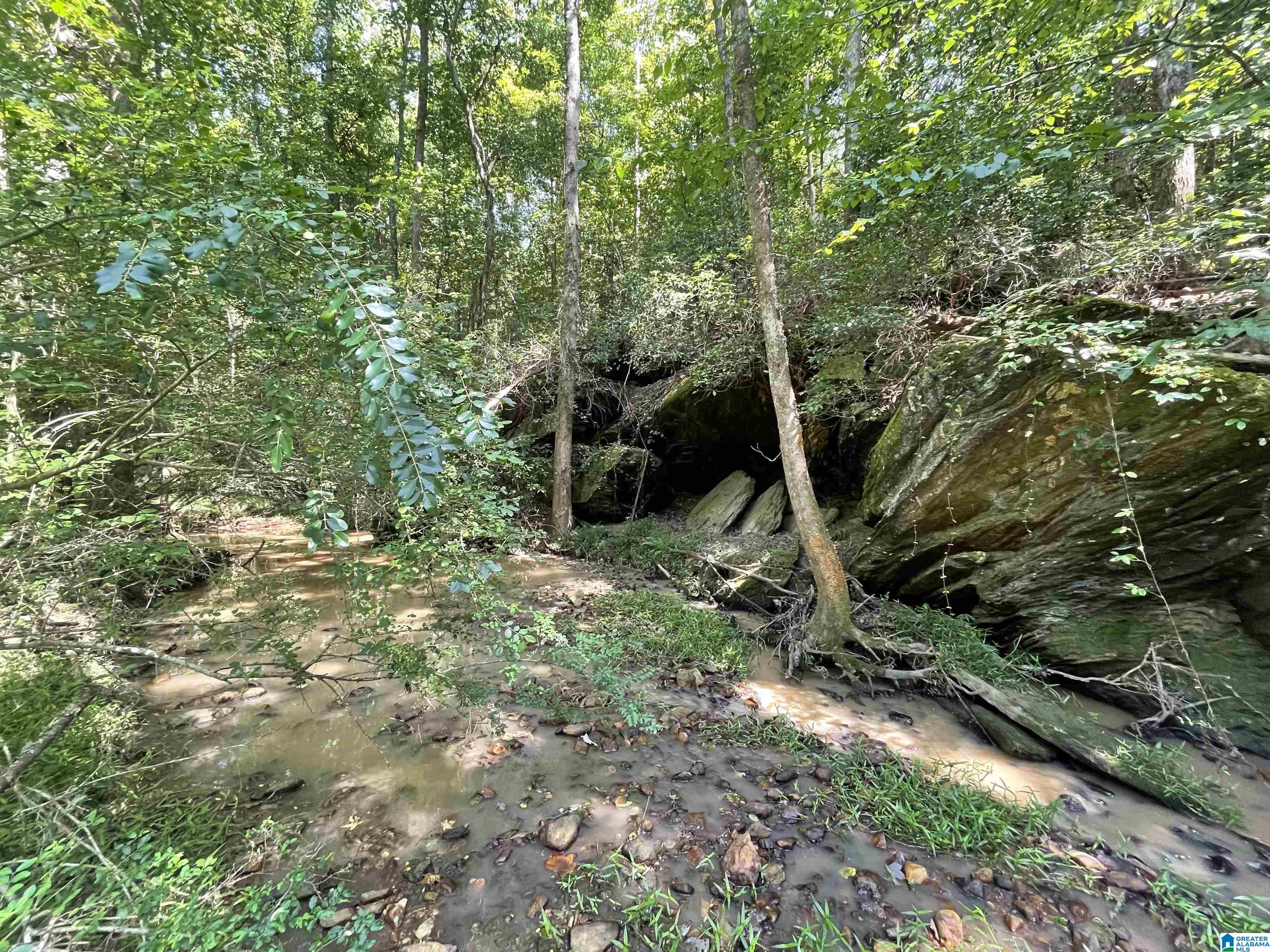 0 County Road 689, Unit 1 Ranburne, AL 36273 - Photo 55 of 69