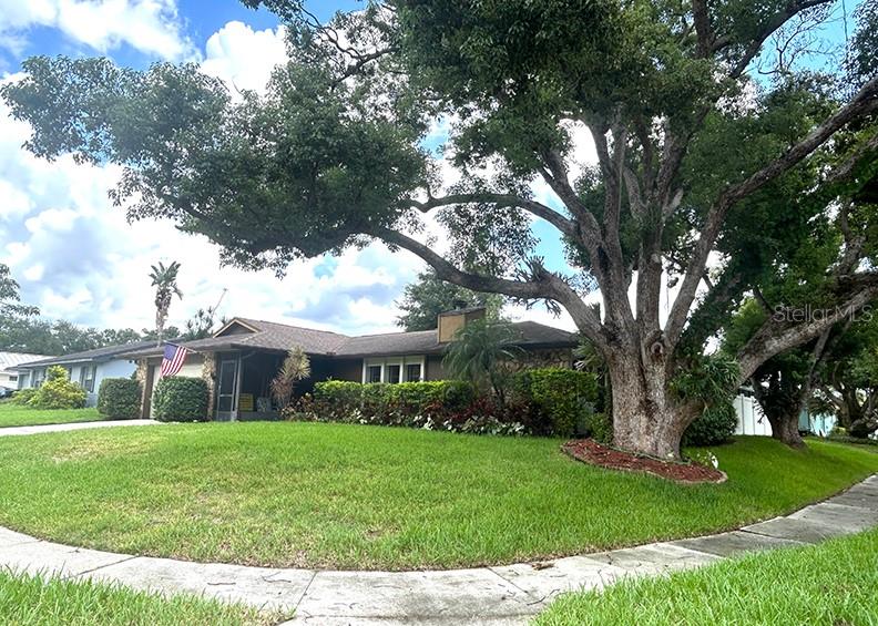 4791 Deer Road Orlando, FL 32812 - Photo 35 of 35 a view of house with a yard