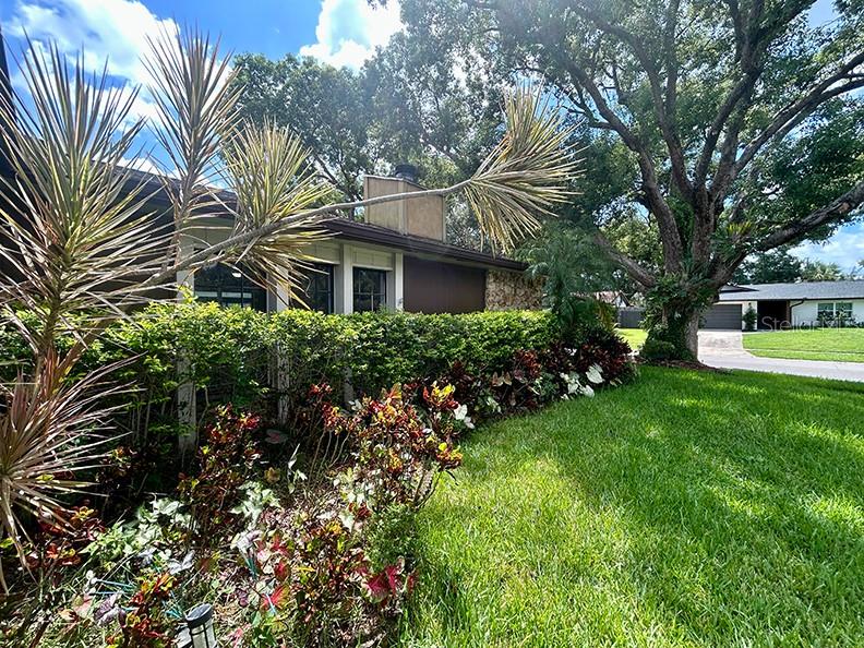 4791 Deer Road Orlando, FL 32812 - Photo 4 of 35 a front view of a house with a yard