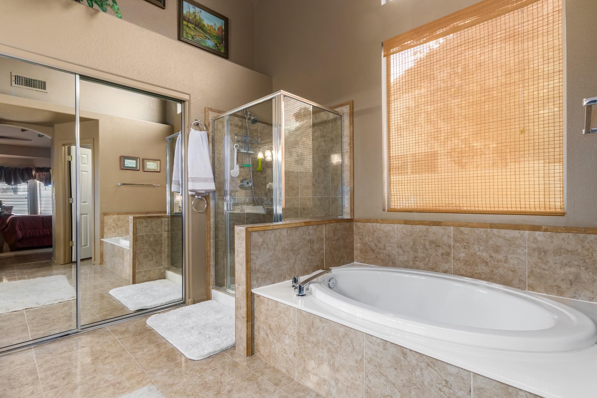 216 West Smoke Tree Road Gilbert, AZ 85233 - Photo 28 of 55 Gorgeous Primary Bathroom