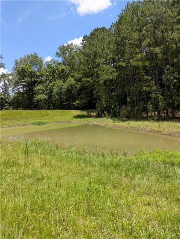 75581 North Hayes Road Kentwood, LA 70444 - Photo 32 of 36