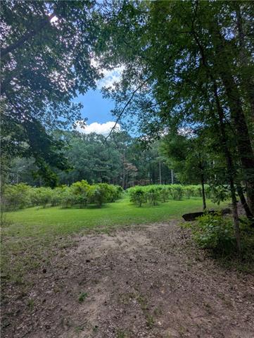 75581 North Hayes Road Kentwood, LA 70444 - Photo 34 of 36