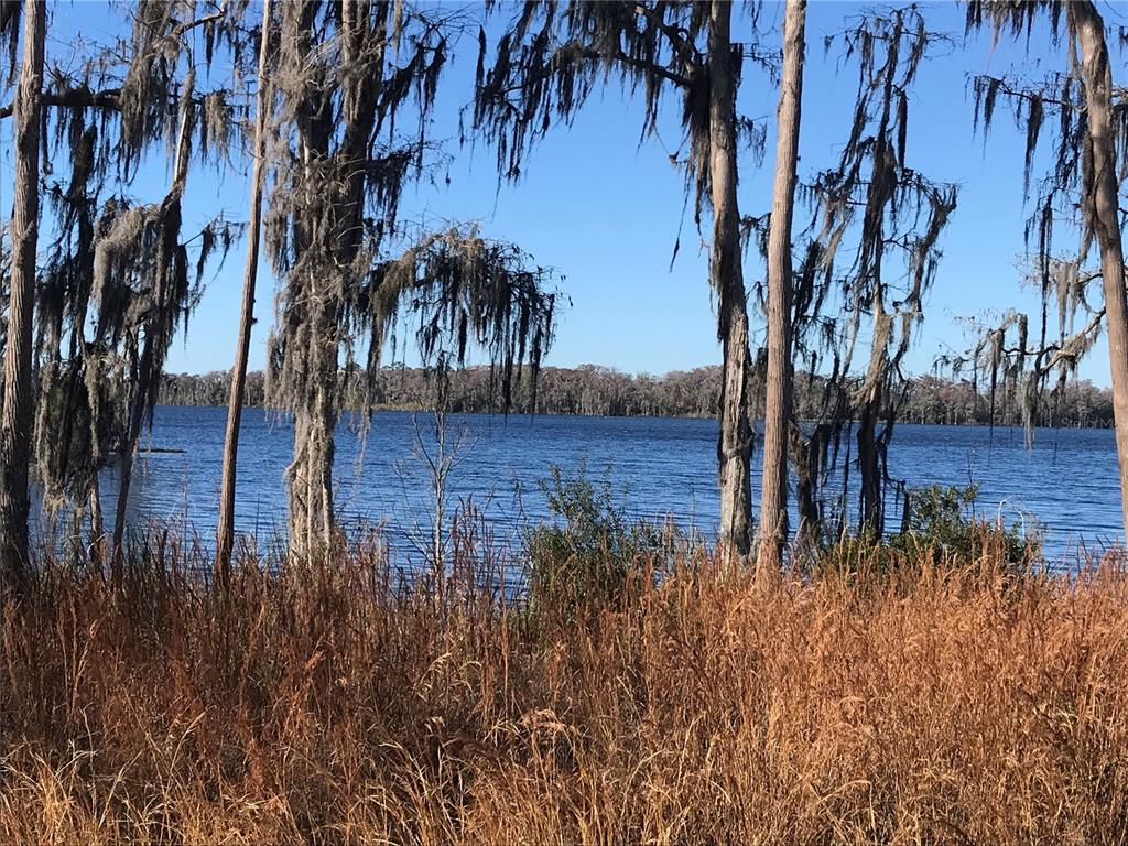 4918 North Fort Christmas Road Christmas, FL 32820 - Photo 2 of 6