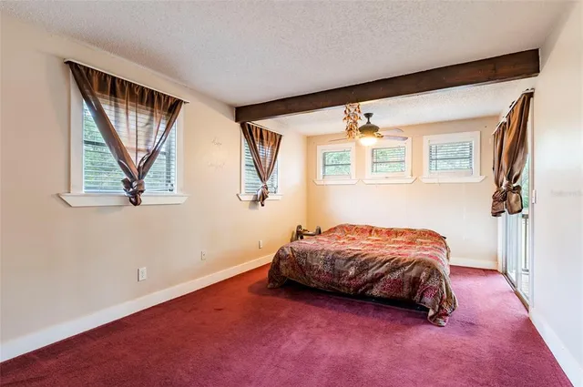 a view of a house with a yard and tree s