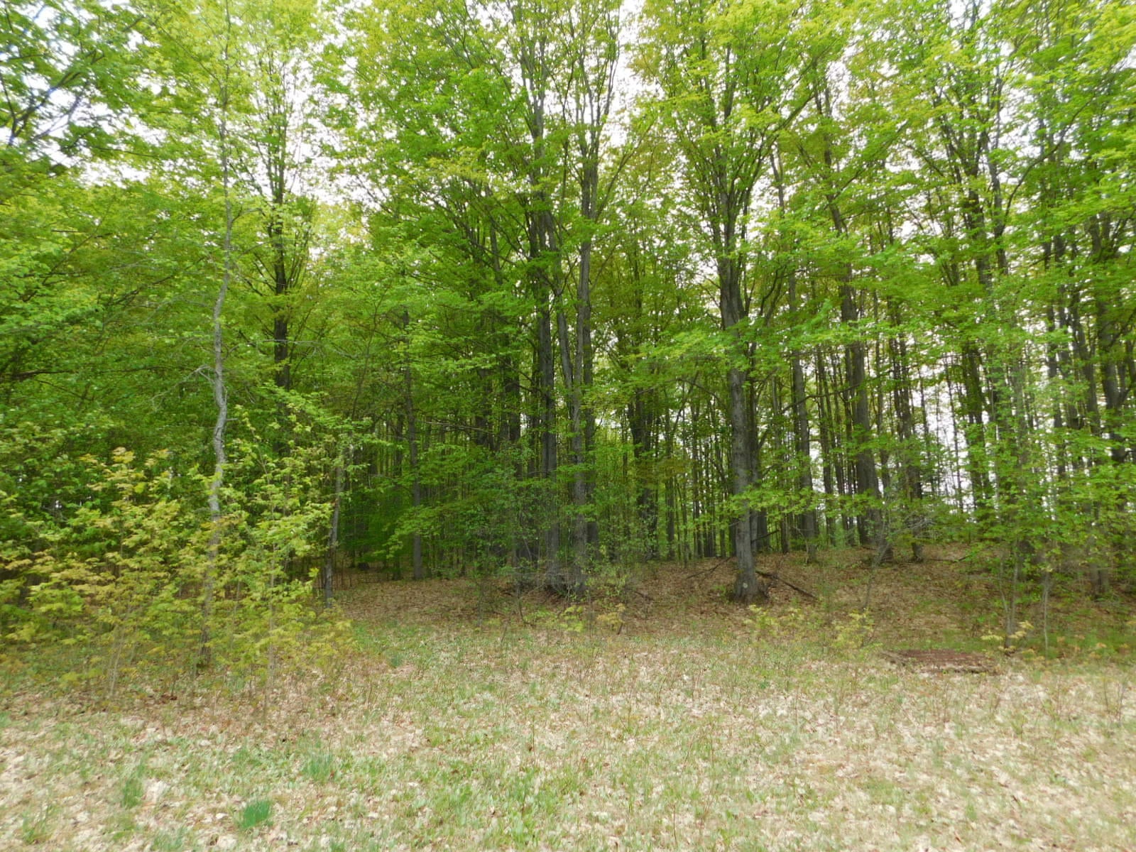 Post Road Frederic, MI 49733 - Photo 20 of 30 Gallery Image 20