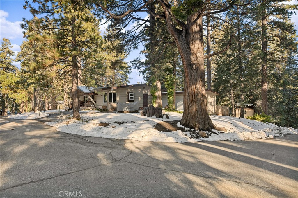 31466 Frontier Drive Running Springs, CA 92382 - Photo 2 of 43 a view of a tree in the front of a house