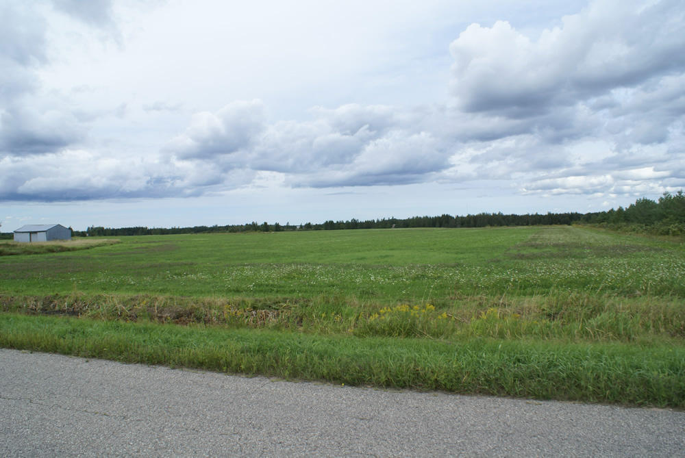 10 West 10 Mile Road Dafter, MI 49724 - Photo 4 of 23 Gallery Image 4