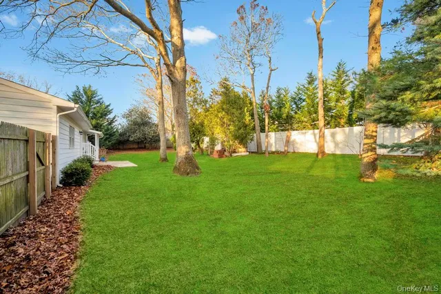 a view of a backyard with a garden