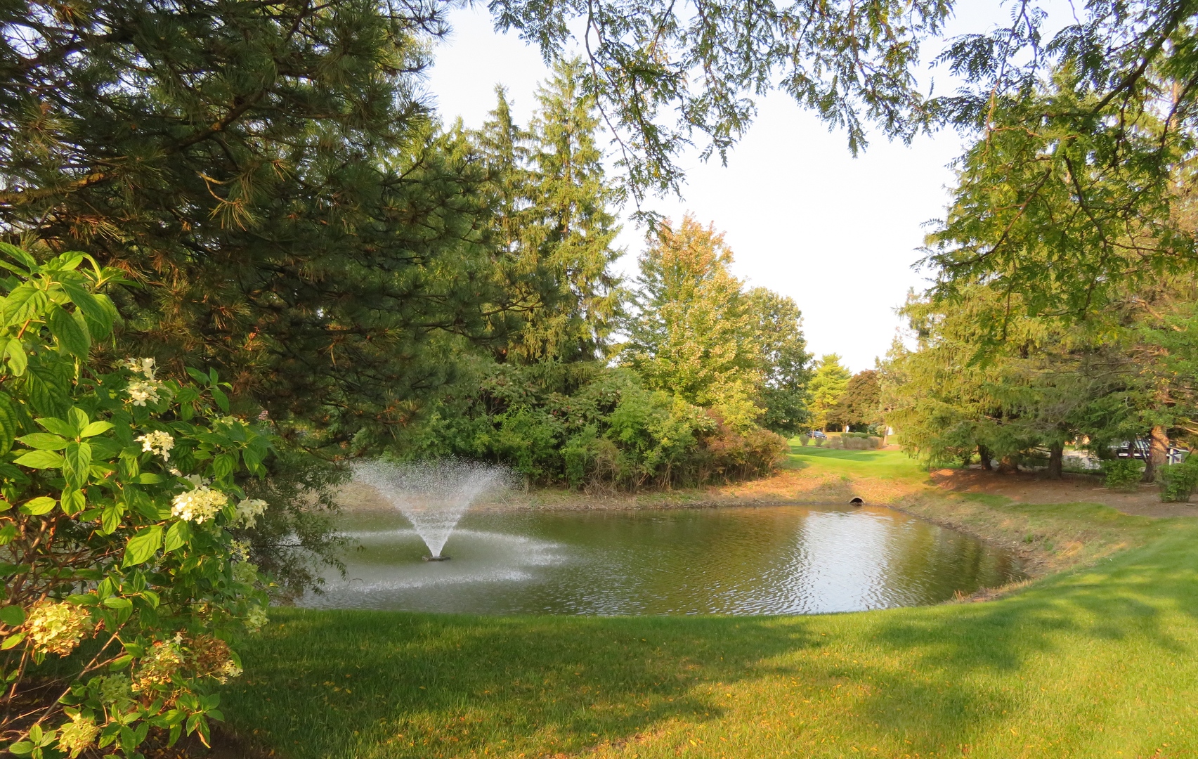 117 Rivershire Lane Lincolnshire, IL 60069 - Photo 17 of 19 a view of a lake from a yard