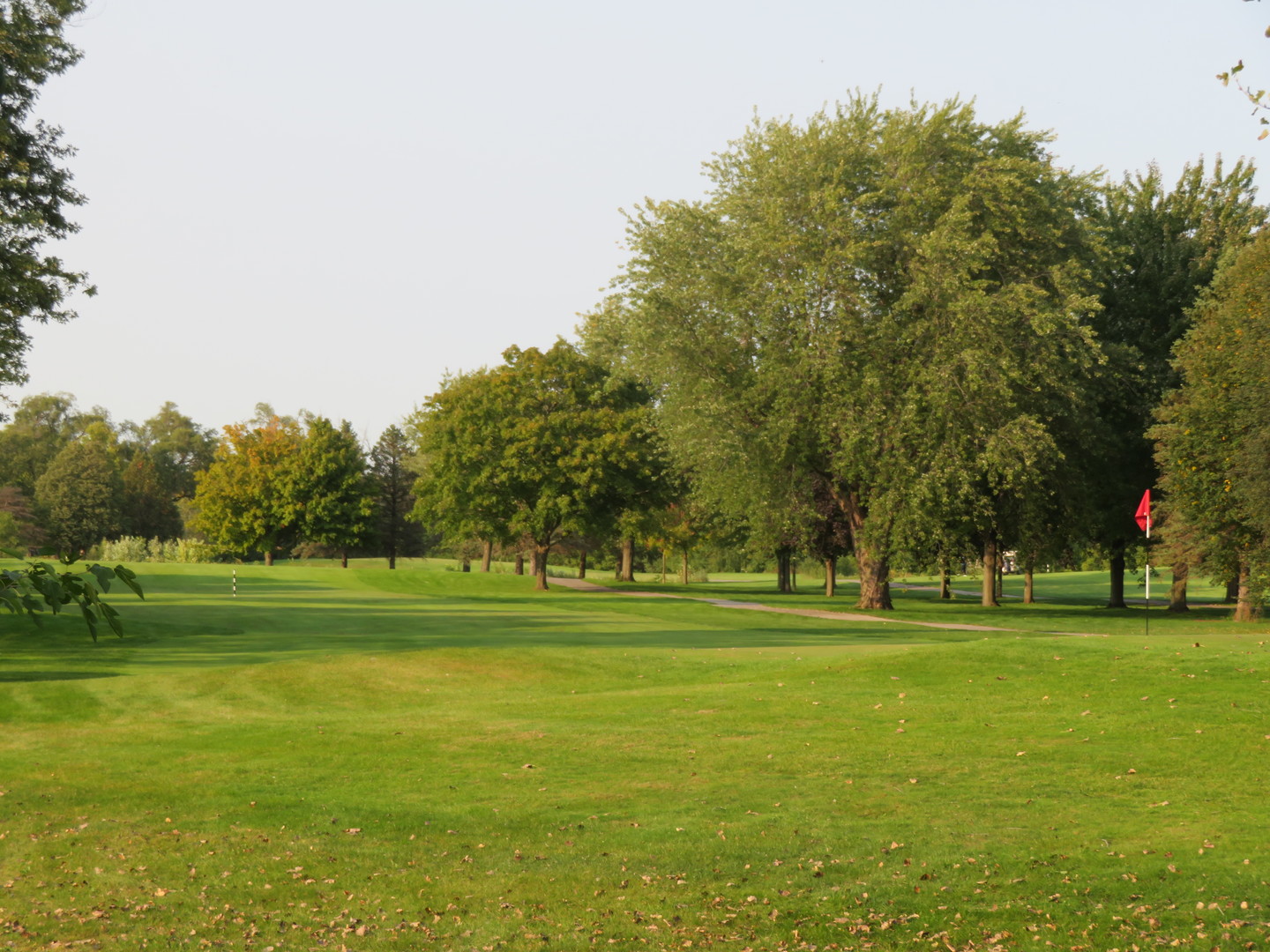 117 Rivershire Lane Lincolnshire, IL 60069 - Photo 18 of 19 a grassy field with trees in the background