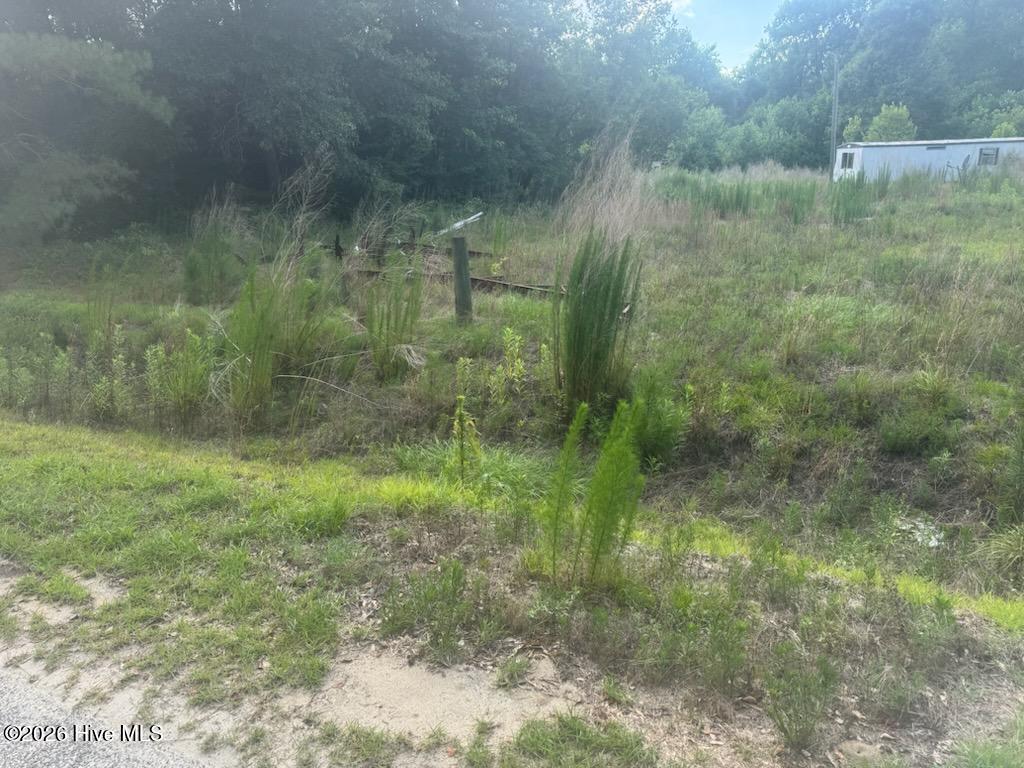 447 Jimmy Road Magnolia, NC 28453 - Photo 4 of 6