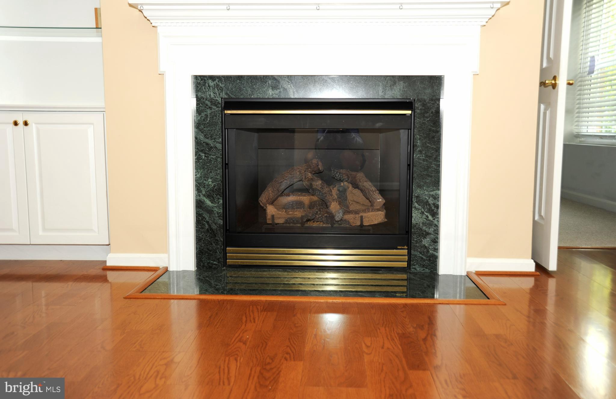 12320 Rosslare Ridge Road, Unit 207 Lutherville-Timonium, MD 21093 - Photo 11 of 30 Cozy gas fireplace
