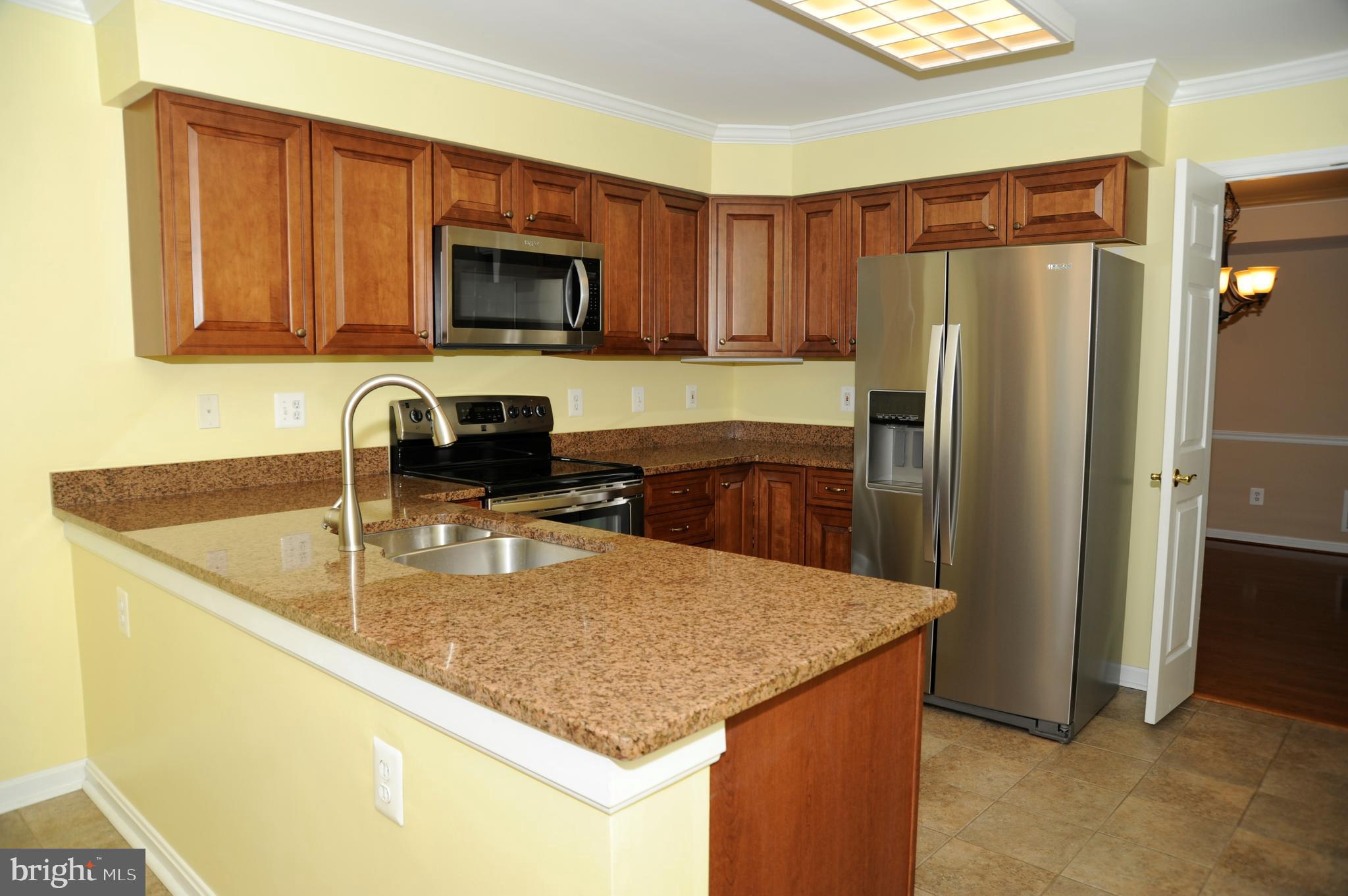 12320 Rosslare Ridge Road, Unit 207 Lutherville-Timonium, MD 21093 - Photo 15 of 30 Granite counters