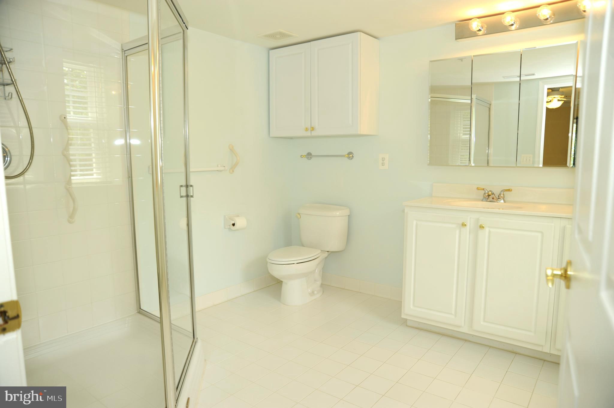 12320 Rosslare Ridge Road, Unit 207 Lutherville-Timonium, MD 21093 - Photo 21 of 30 Master Bath with shower