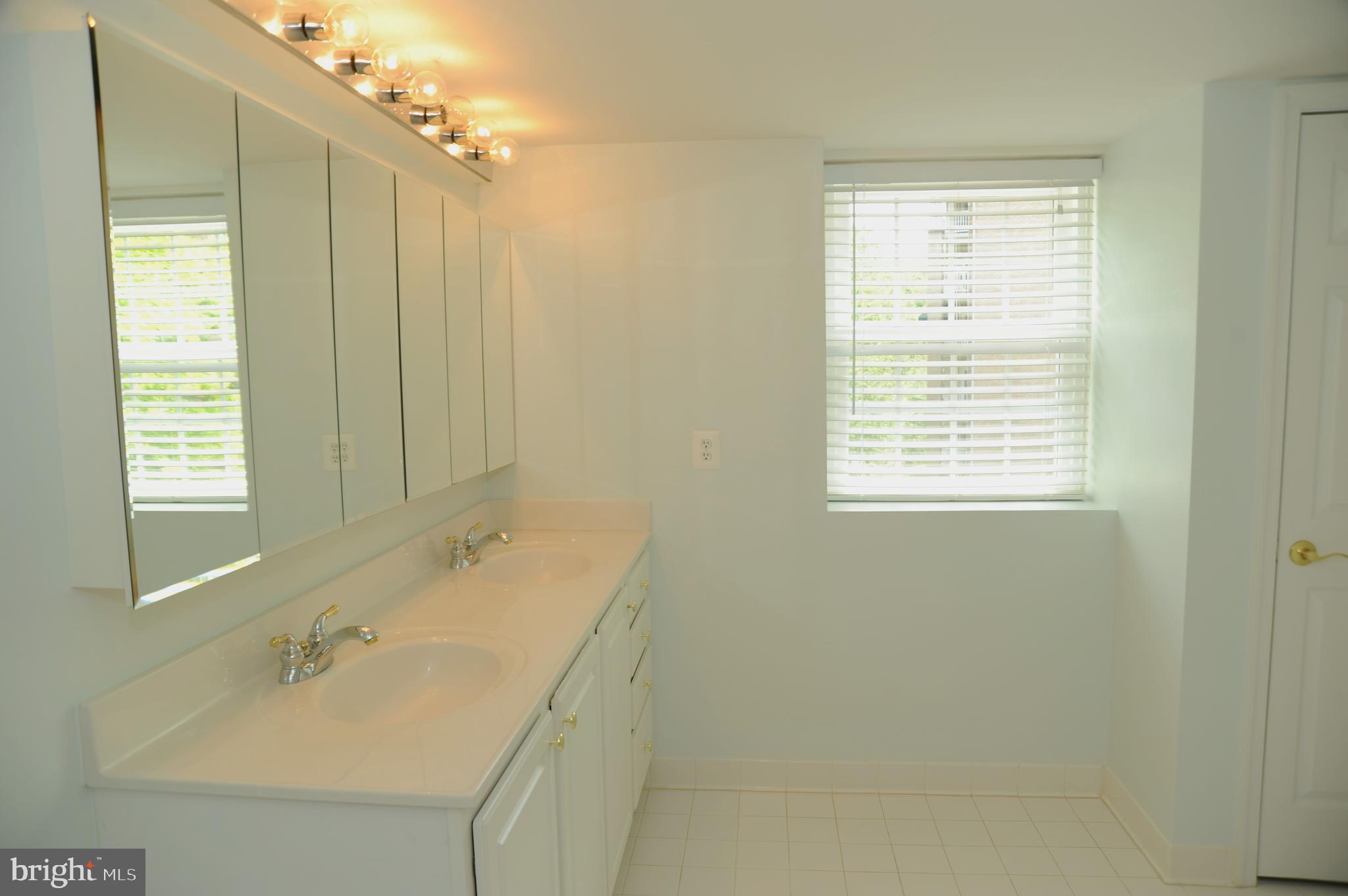 12320 Rosslare Ridge Road, Unit 207 Lutherville-Timonium, MD 21093 - Photo 22 of 30 Extra Window in Master Bath