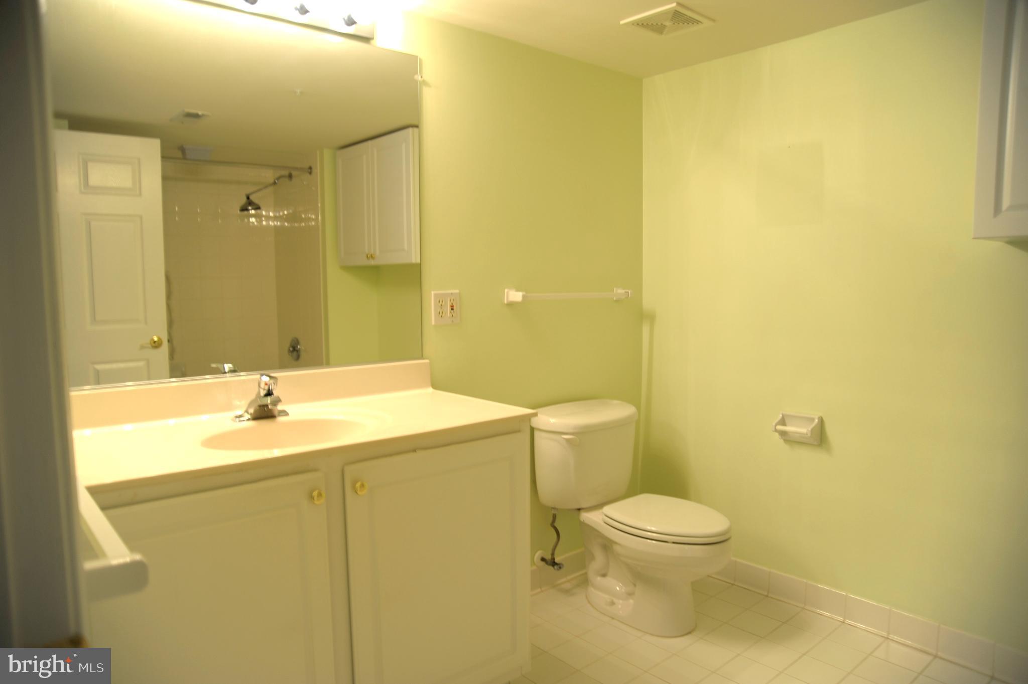 12320 Rosslare Ridge Road, Unit 207 Lutherville-Timonium, MD 21093 - Photo 26 of 30 Hall bath