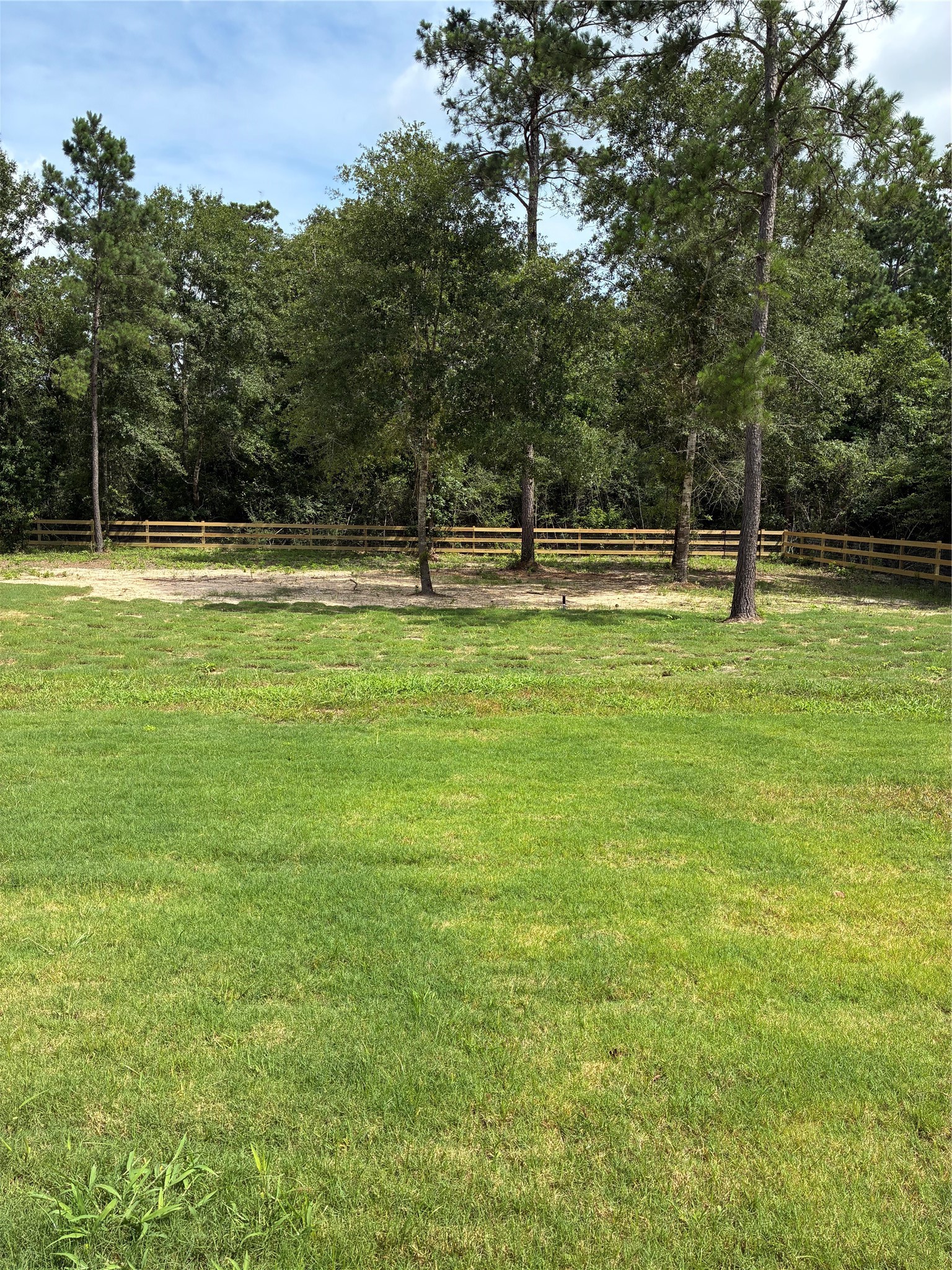 347 Iron Horse Road Willis, TX 77378 - Photo 28 of 49 View of back yard from covered patio