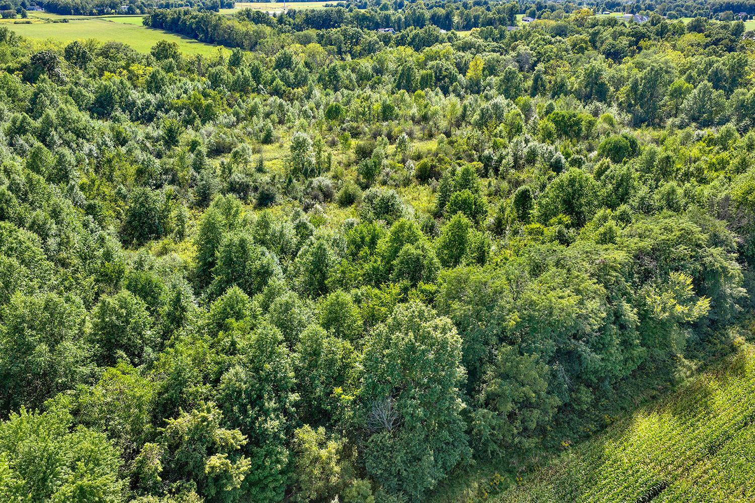 0 South County Line Road Johnstown, OH 43031 - Photo 10 of 23 Ariel