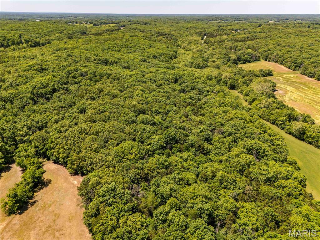 2126 Krenning Road Beaufort, MO 63013 - Photo 86 of 99