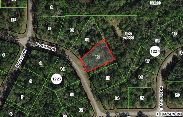 $22,500 | 1455 East Odin Drive, Dunnellon, FL 34434