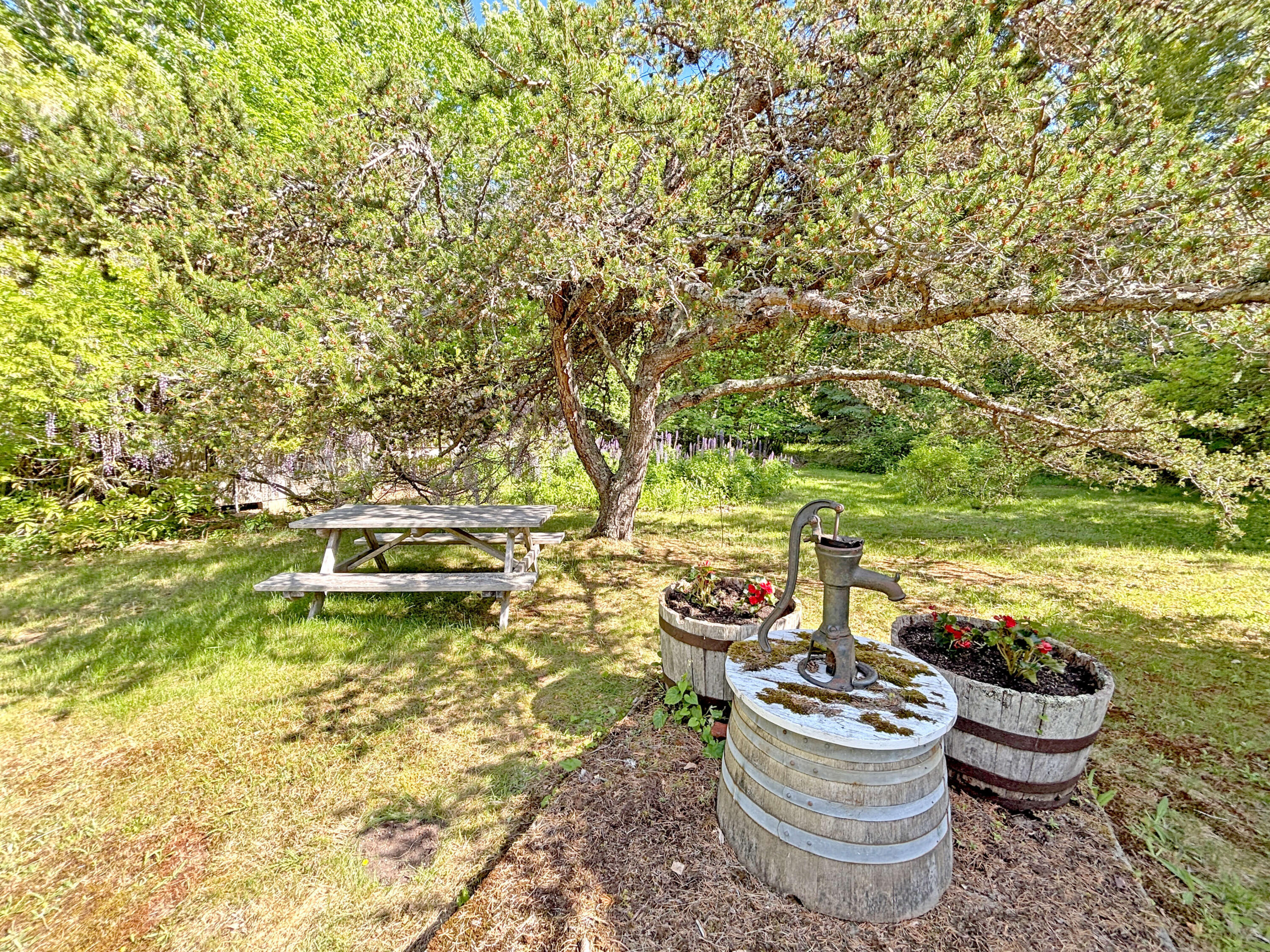 1778 Bayside Road Trenton, ME 04605 - Photo 101 of 113 Grounds (7)